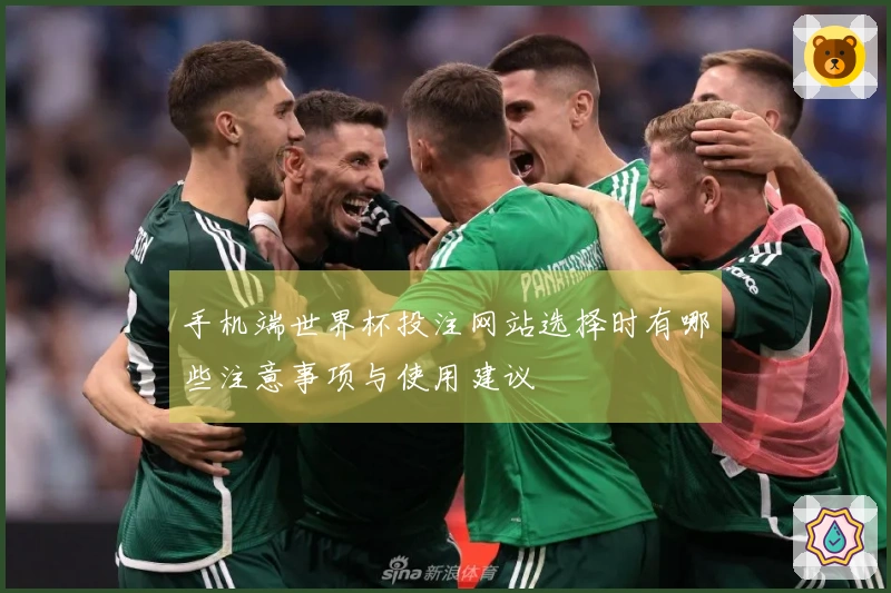 手机端世界杯投注网站选择时有哪些注意事项与使用建议