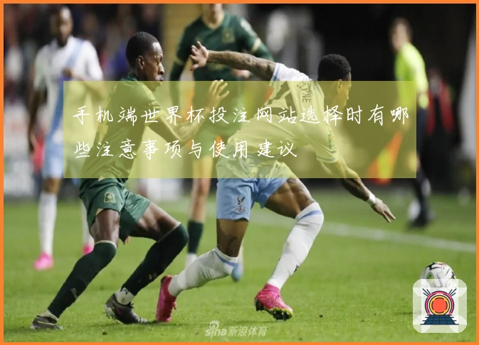 手机端世界杯投注网站选择时有哪些注意事项与使用建议