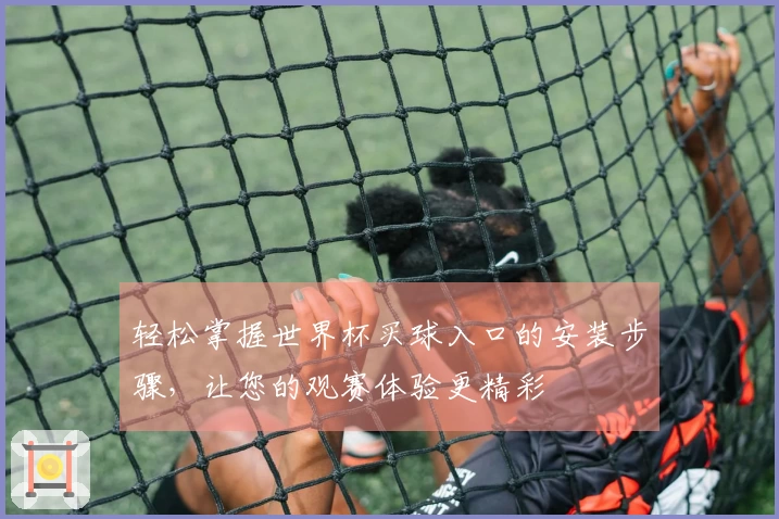 轻松掌握世界杯买球入口的安装步骤，让您的观赛体验更精彩