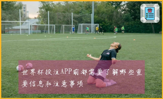 世界杯投注APP前都需要了解哪些重要信息和注意事项