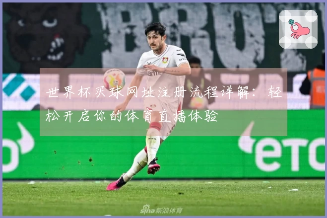 世界杯买球网址注册流程详解:轻松开启你的体育直播体验