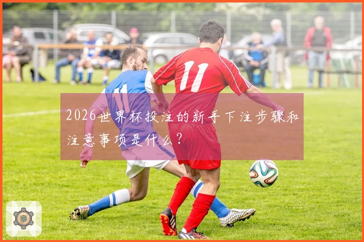 2026世界杯投注的新手下注步骤和注意事项是什么？