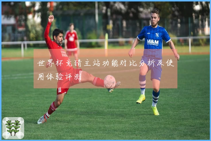 世界杯竞猜主站功能对比分析及使用体验评测
