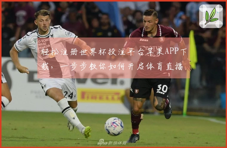 轻松注册世界杯投注平台苹果APP下载,一步步教你如何开启体育直播体验