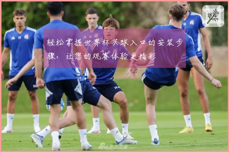 轻松掌握世界杯买球入口的安装步骤，让您的观赛体验更精彩