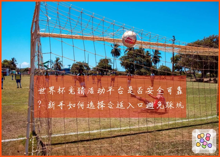 世界杯竞猜活动平台是否安全可靠？新手如何选择合适入口避免踩坑