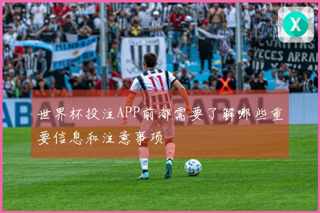 世界杯投注APP前都需要了解哪些重要信息和注意事项