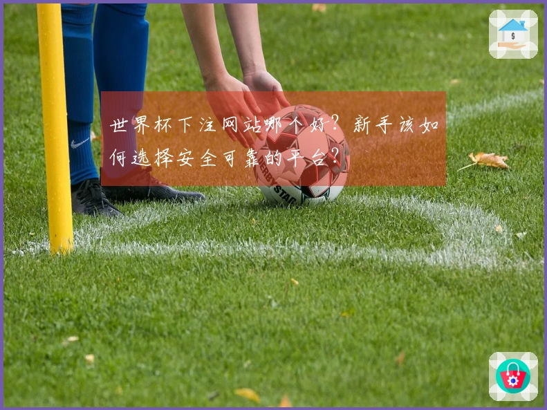 世界杯下注网站哪个好？新手该如何选择安全可靠的平台？